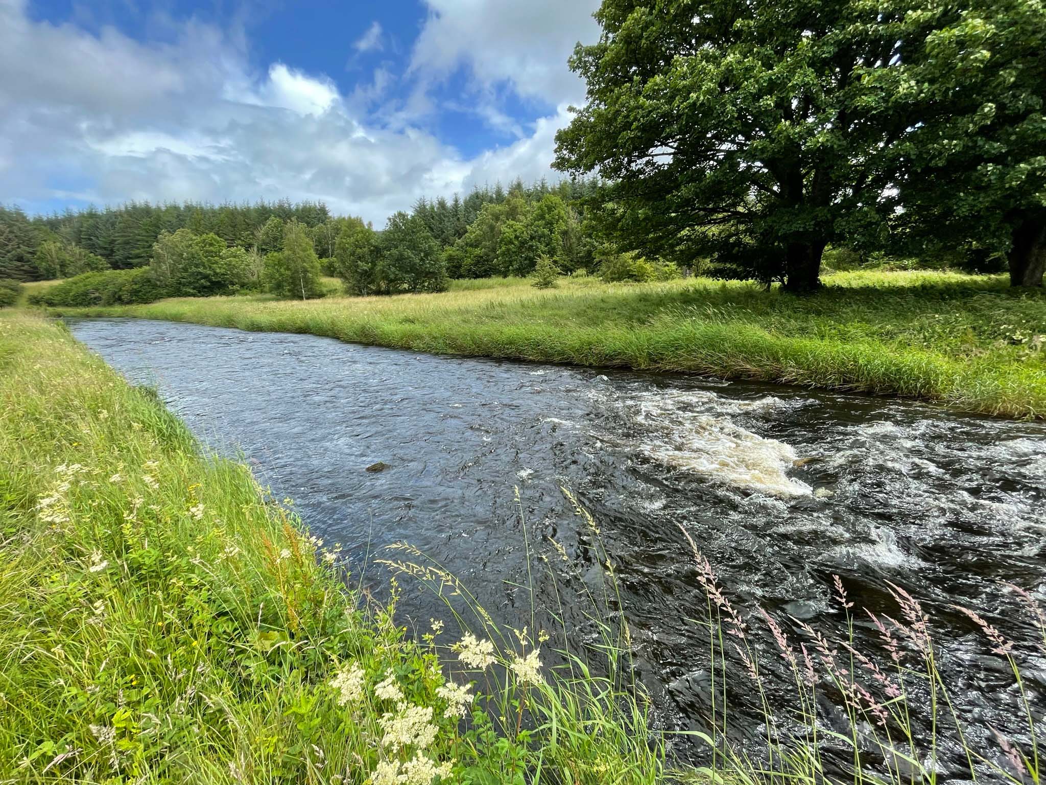 Polnessan Stream, Smithston Fishings Club, River Doon